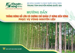 Hướng dẫn trồng rừng gỗ lớn có chứng chỉ quản lý rừng bền vững phục vụ vùng nguyên liệu