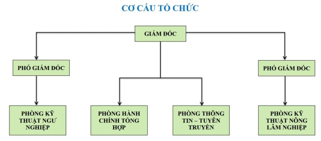 Cơ cấu tổ chức Trung tâm Khuyến nông Quảng Ngãi