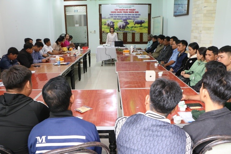 Tập huấn kỹ thuật chăn nuôi trâu miền núi cho các hộ ngoài mô hình năm 2024