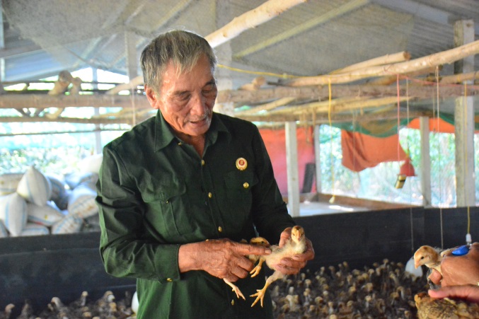 Cựu chiến binh huyện Sơn Tịnh thi đua làm kinh tế giỏi