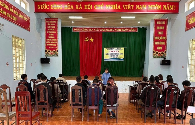 Tập huấn kỹ thuật giống Sắn kháng bệnh Khảm lá HN5 và giải pháp hiệu quả cho nông dân miền núi.