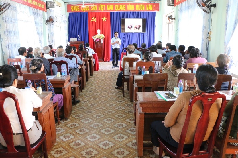 Tư Nghĩa: Tập huấn kỹ thuật chăn nuôi bò theo hướng thâm canh