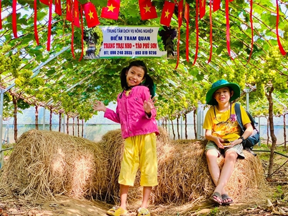 Khánh Hoà: Phát triển du lịch nông nghiệp từ cây nho