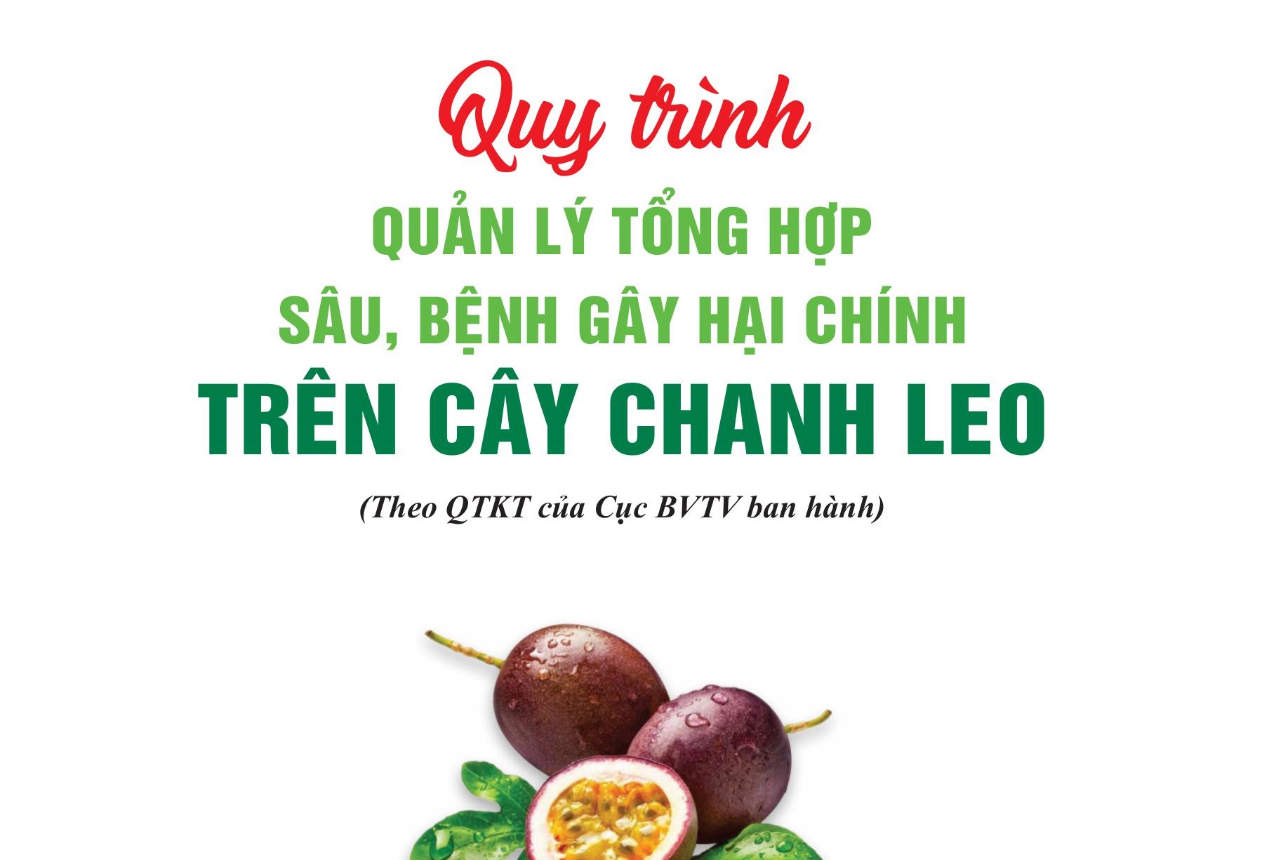 Quy trình quản lý tổng hợp sâu, bệnh hại chính trên cây chanh leo