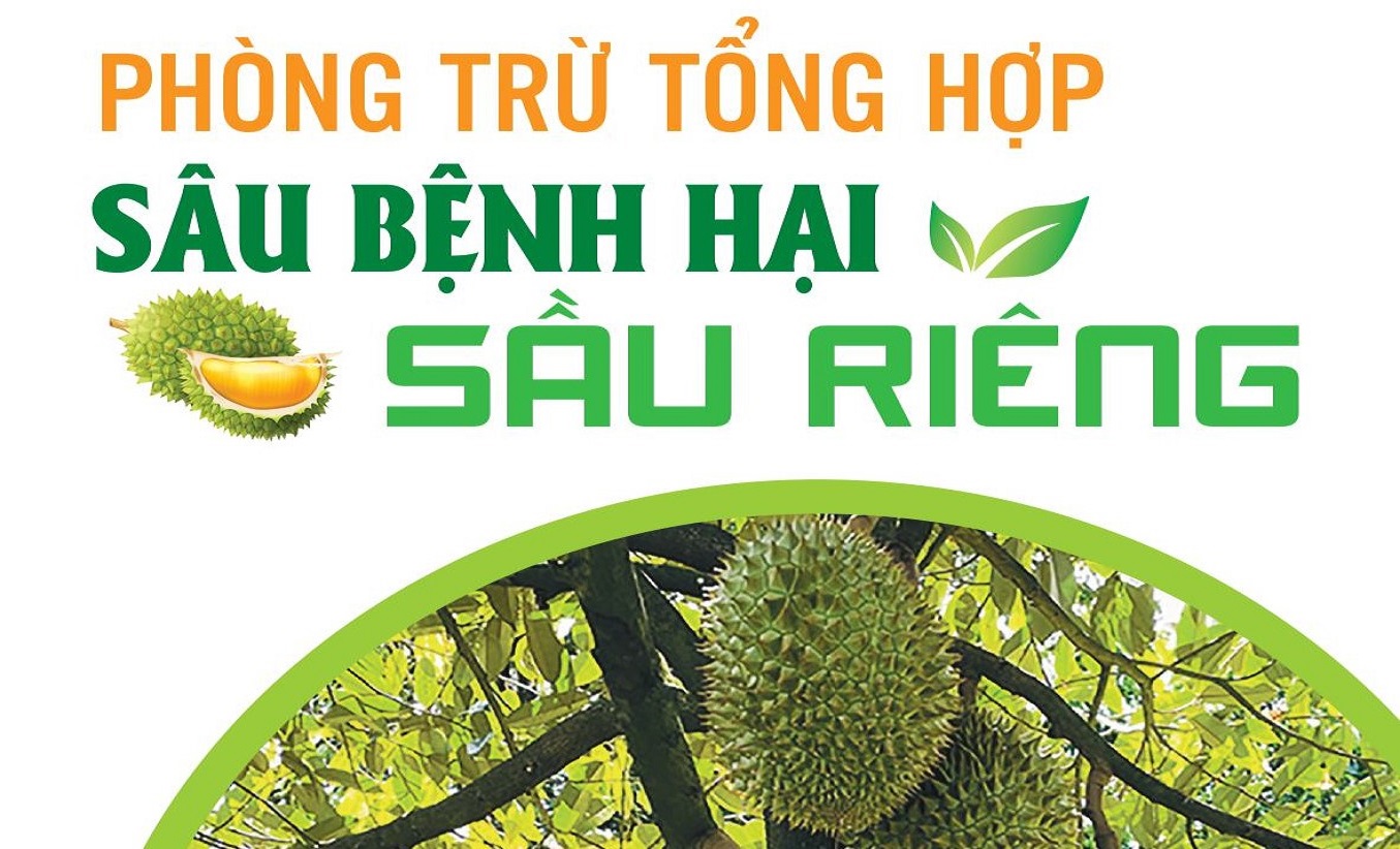 Phòng trừ tổng hợp sâu bệnh hại sầu riêng