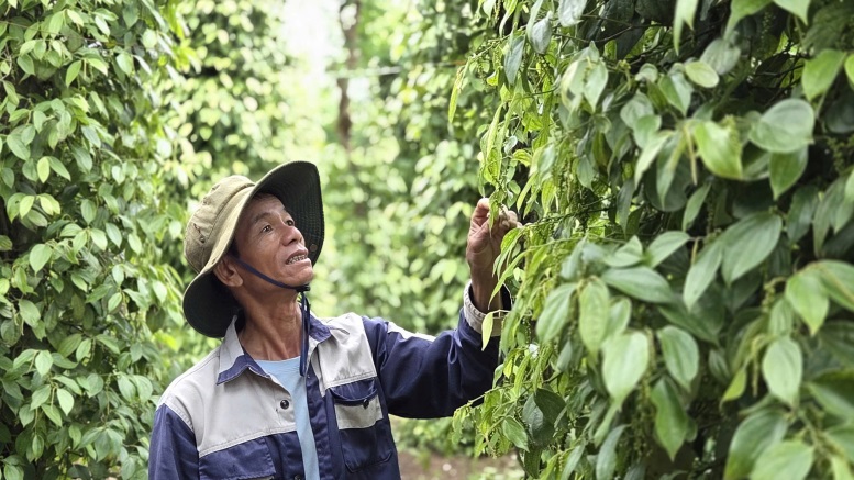 Chi hội trưởng nông dân năng động, làm kinh tế giỏi
